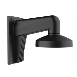 DS-1273ZJ-135(Black) - Wall mount