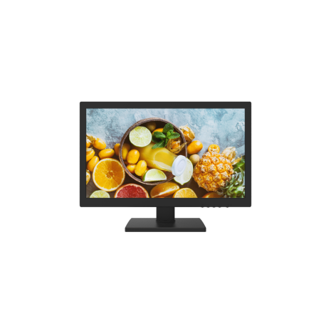 DS-D5019QE-B - Moniteur 18.5 pouces 1366*768